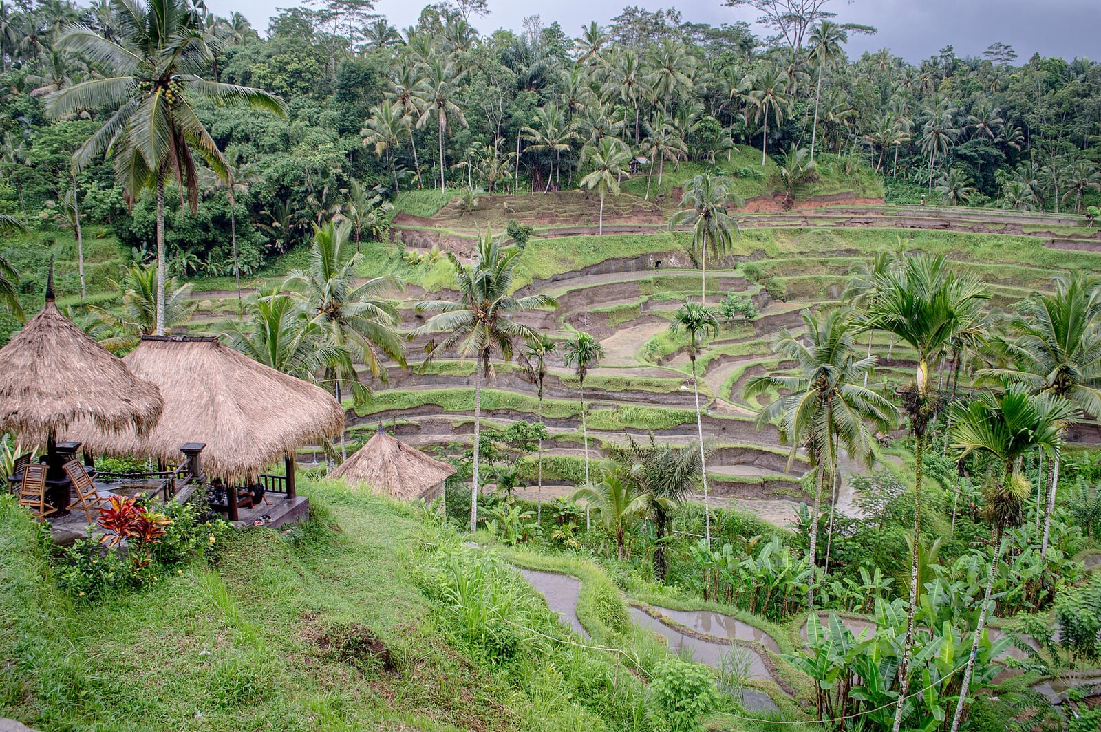 Indonesia holiday packages from Dubai