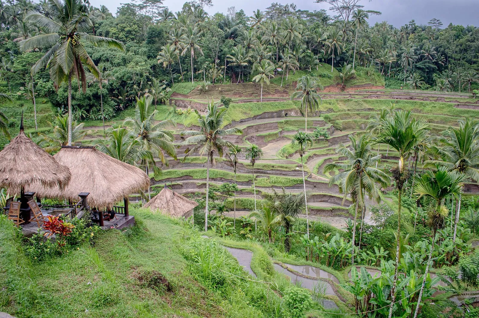 Bali Ubud Jungle Villa & Seminyak Sunset Coast