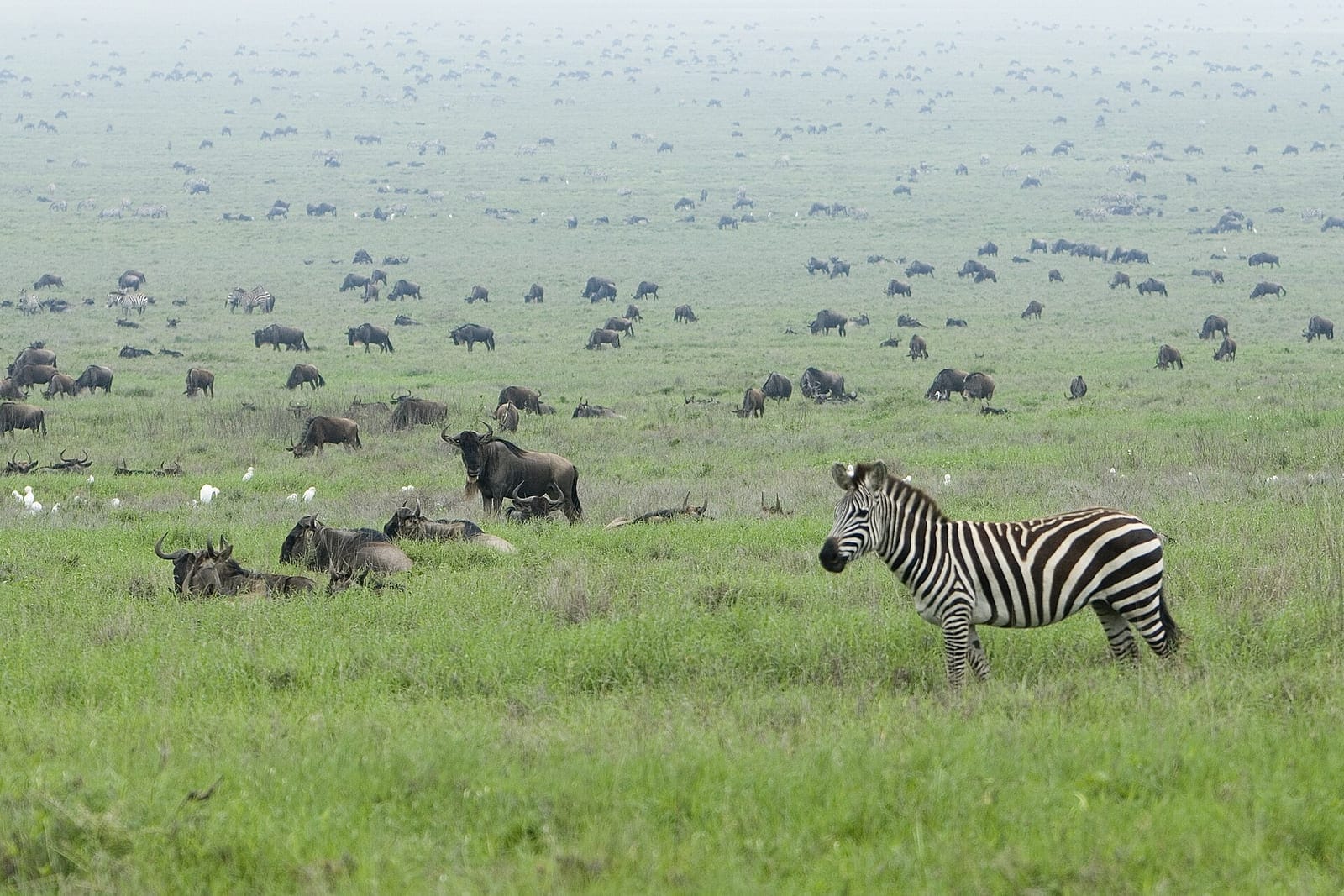 Tanzania holiday packages from Dubai
