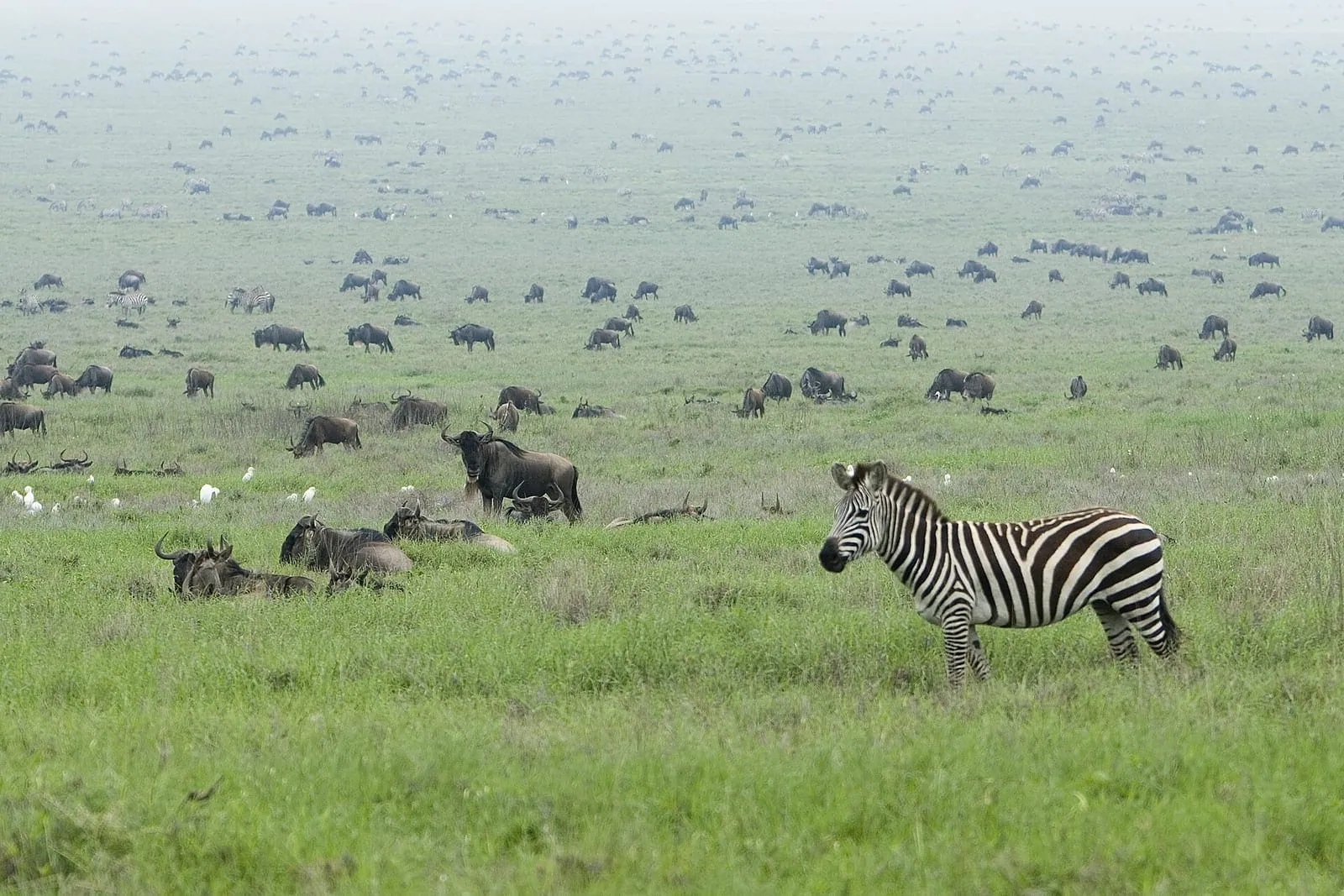 Tanzania holiday packages from Dubai