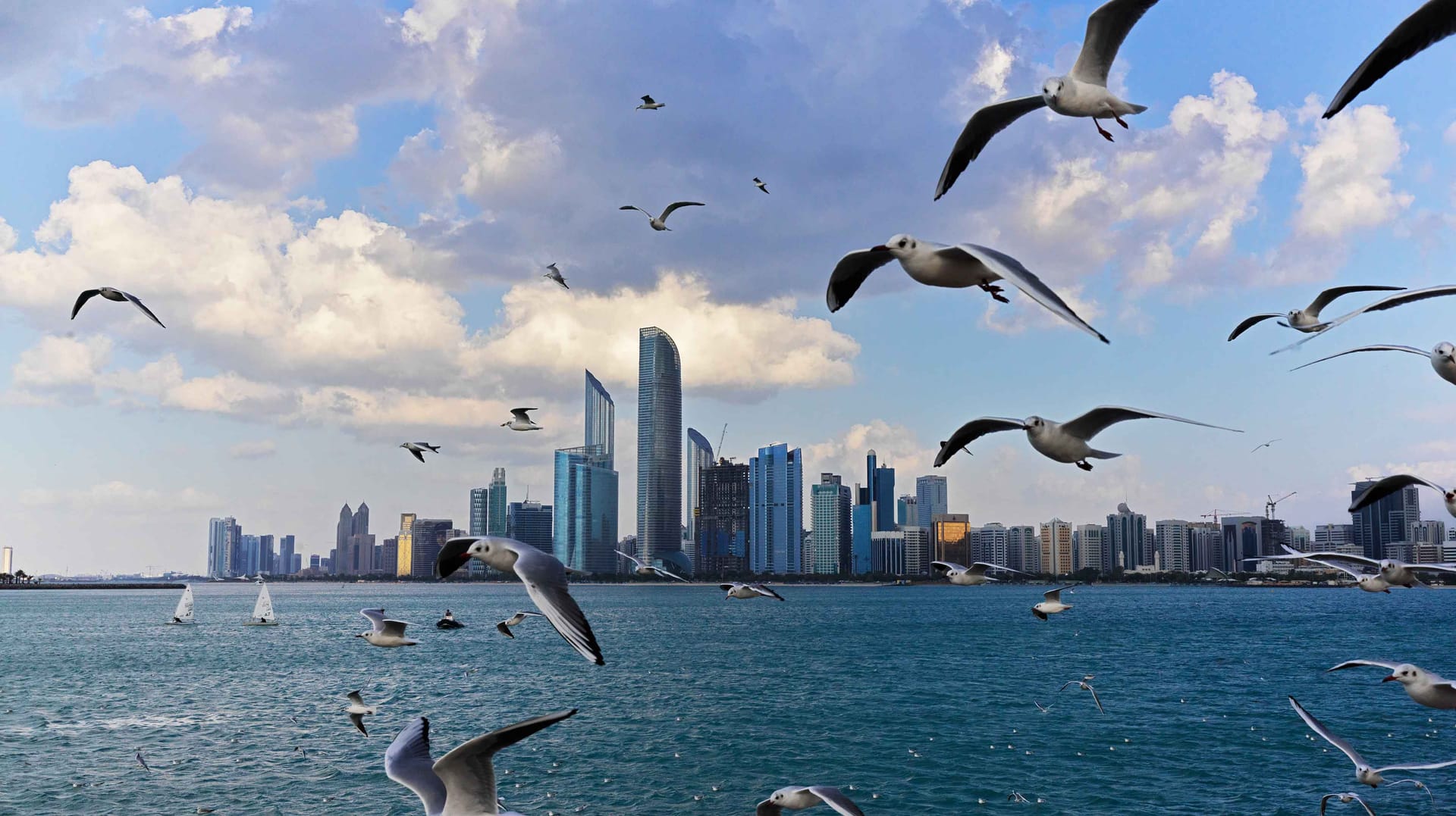 Abu Dhabi Full-Day City Tour with Grand Mosque & Louvre — Abu Dhabi